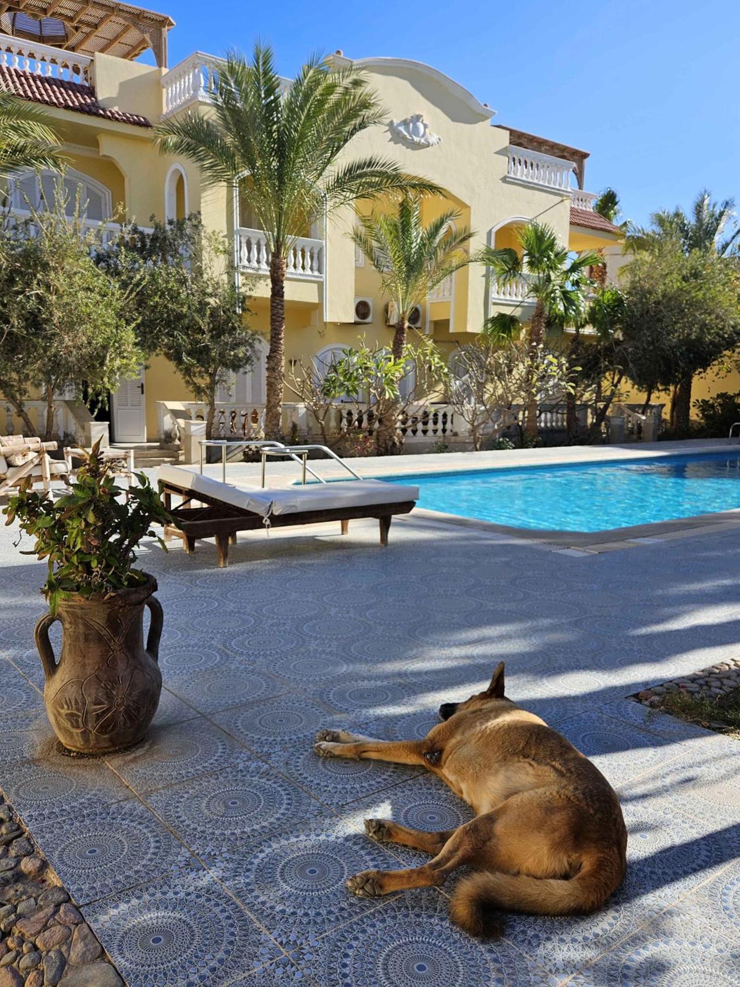 Villa Shahrazad Hurghada Luaran gambar